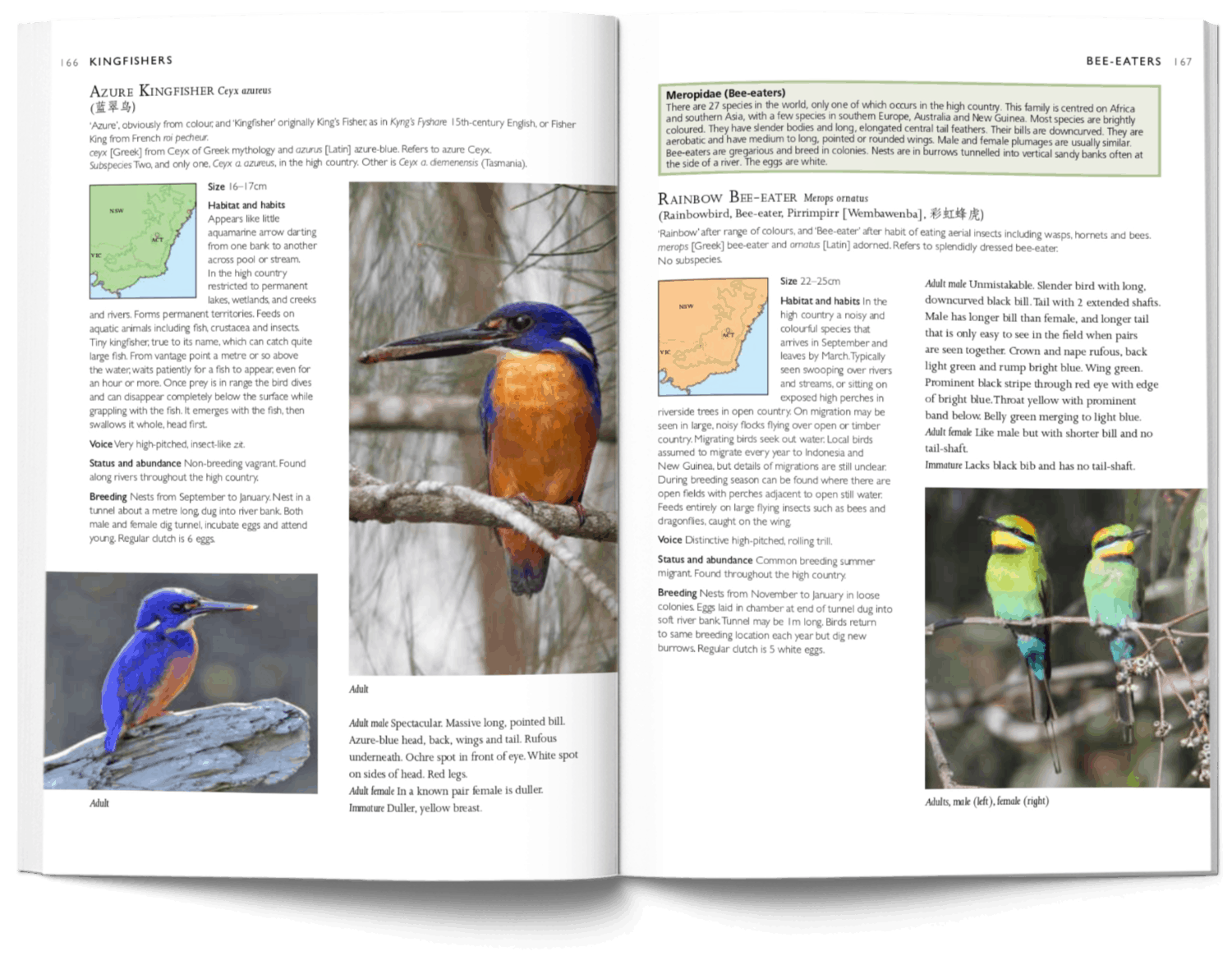 A Photographic Field Guide to the Birds of Canberra pages 166-167