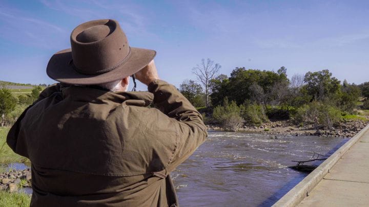 Birding in Molongo River