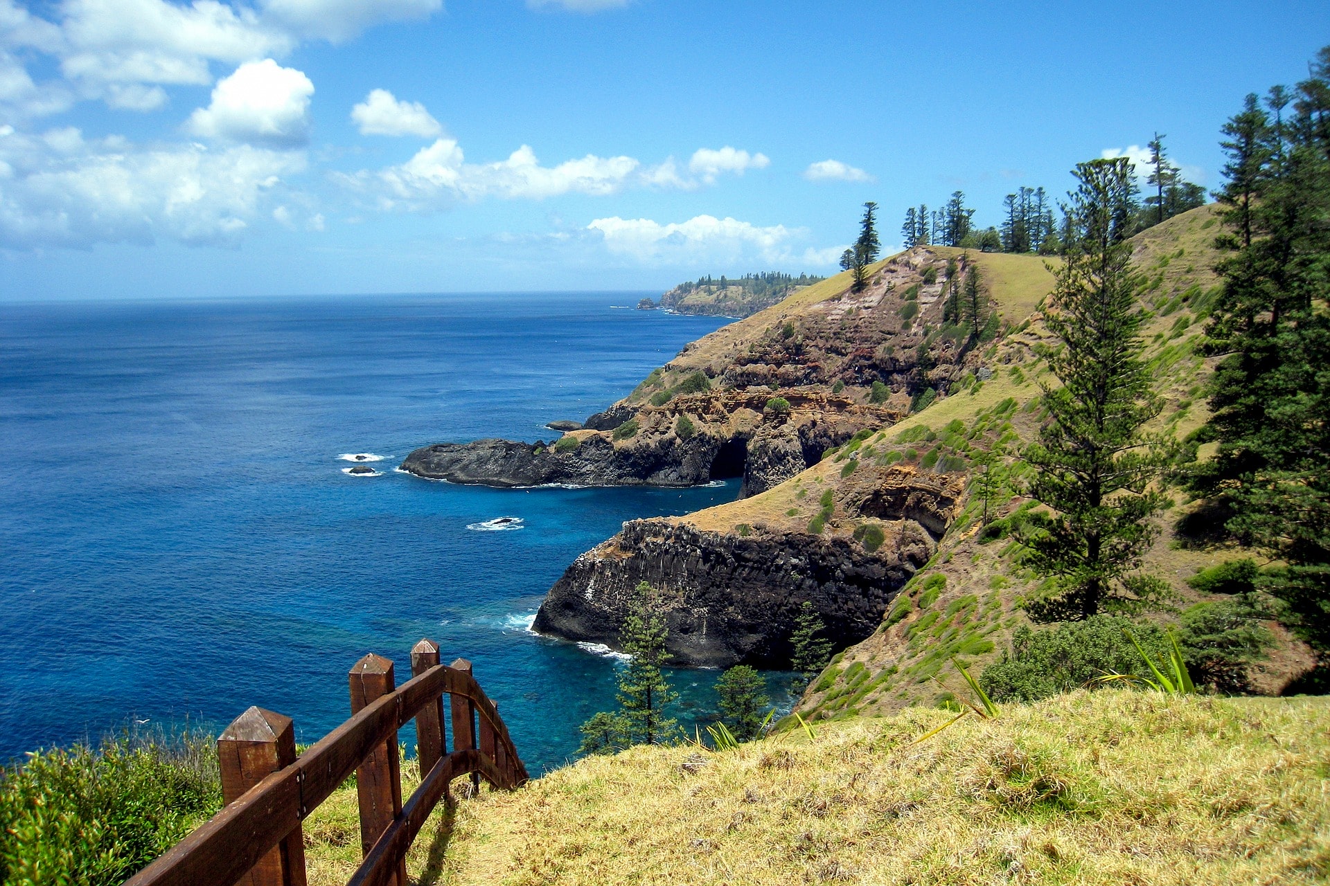 How Do Birds Fly, Malleefowls, and Birds Are Getting Smaller as Temperature Increases | WBW S2 E9 1 Join Us in Norfolk Island Tour