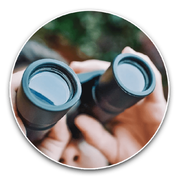Tips & Guides Selecting Your First Pair Of Binoculars For Birdwatching