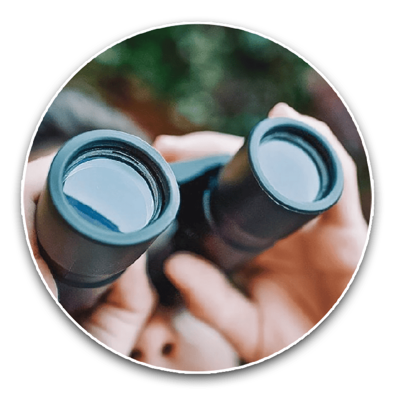 Tips & Guides: Selecting Your First Pair Of Binoculars For Birdwatching | Neil Hermes 2 Adjusting brightness in Binocular
