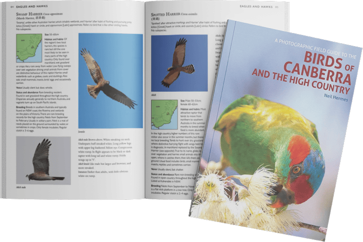Neil Hermes Book: Birds of Canberra
