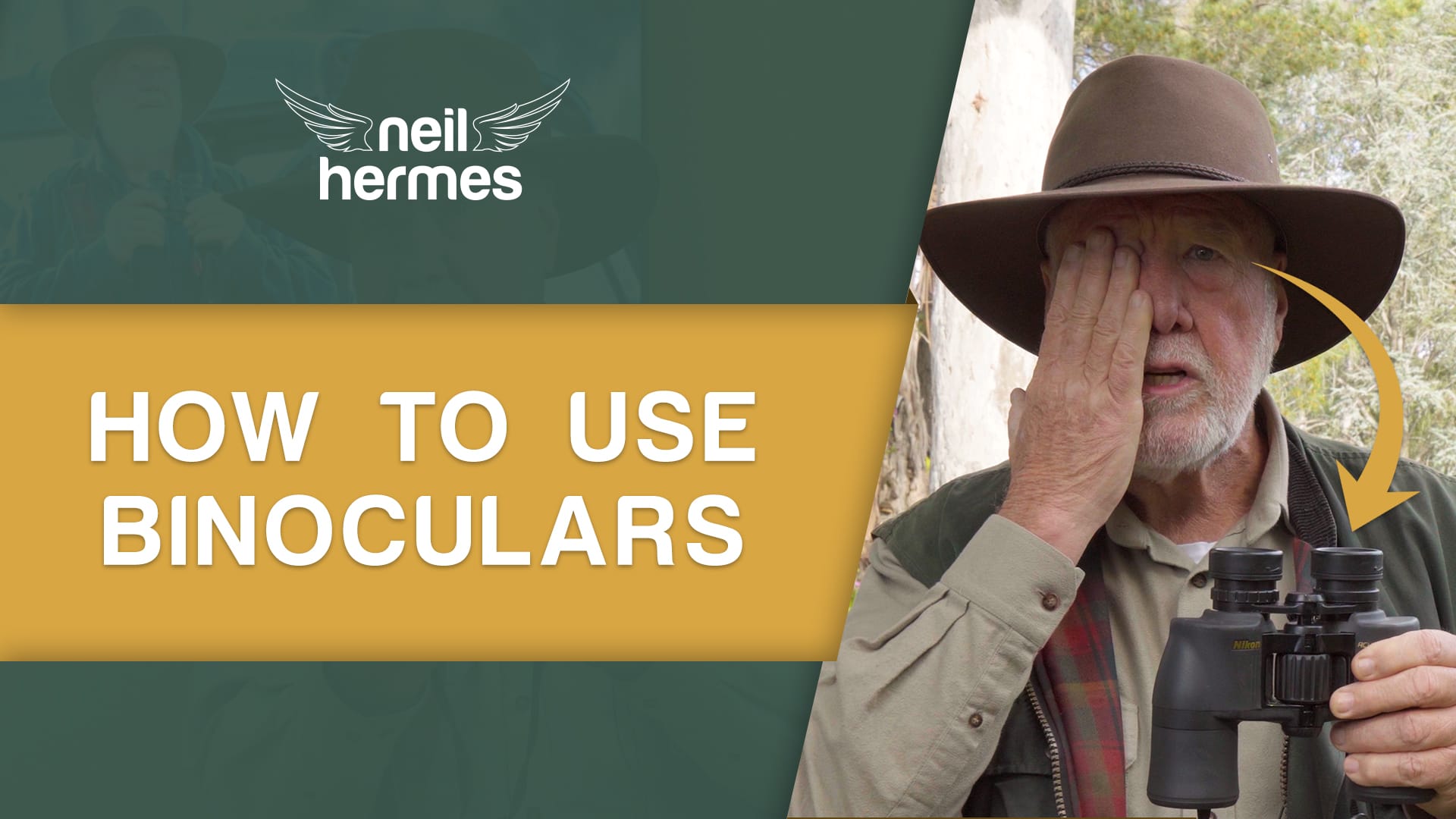 Tips & Guides How to Use Binoculars Neil Hermes
