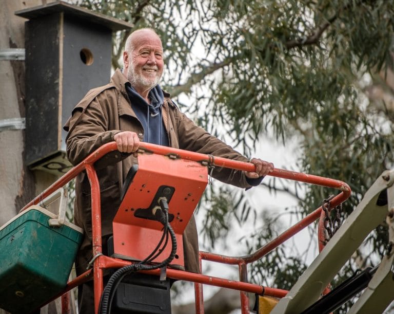 Neil Hermes on Saving Superb Parrot