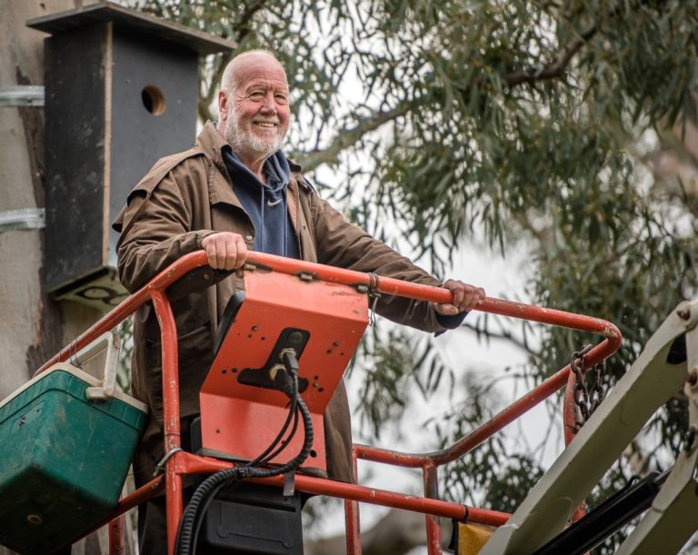 About 3 Neil Hermes on Saving Superb Parrot
