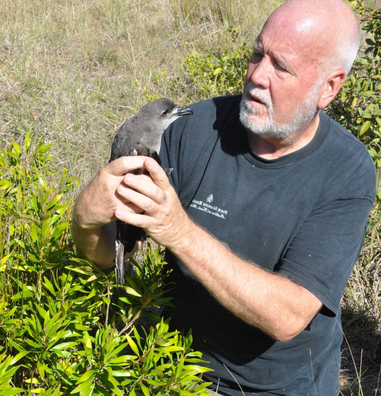 About 6 Neil Hermes with a bird