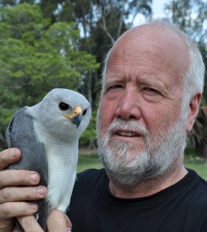 Neil Hermes and Grey Goshawk