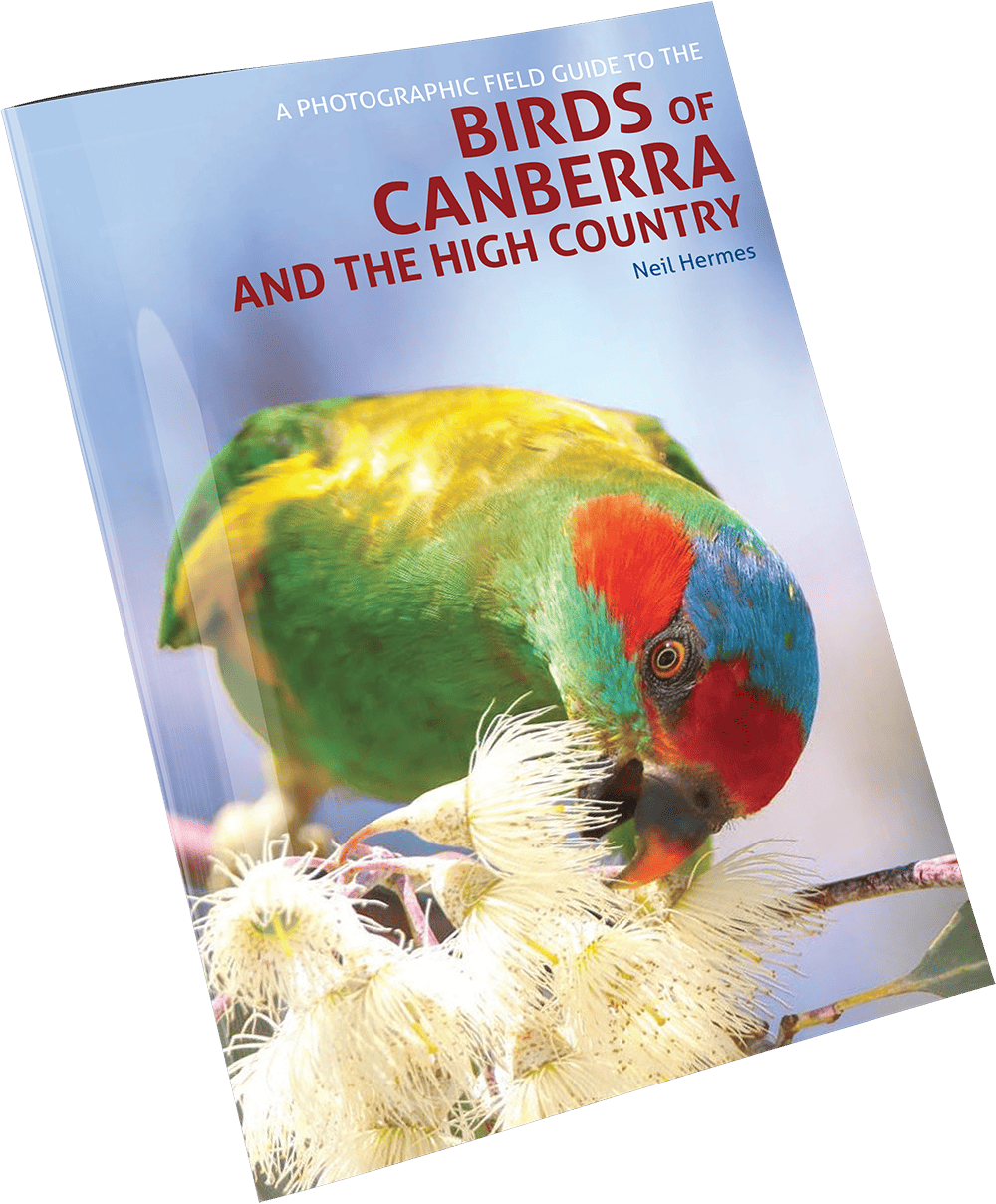 Neil Hermes Book: A Photographic Field Guide to the Birds of Canberra and The High Country