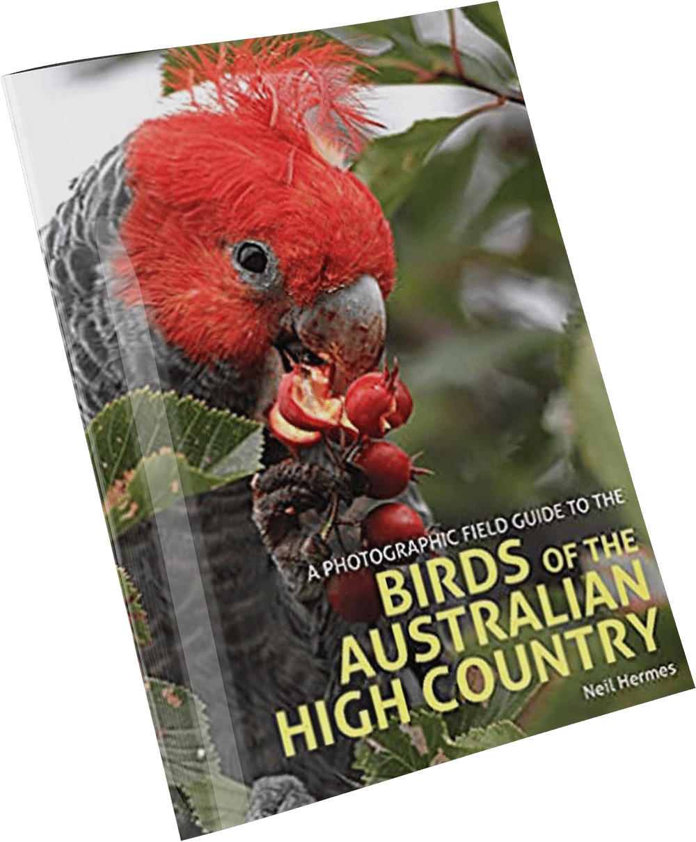 Neil Hermes Book: A Photographic Field Guide to The Birds of the Australian High Country