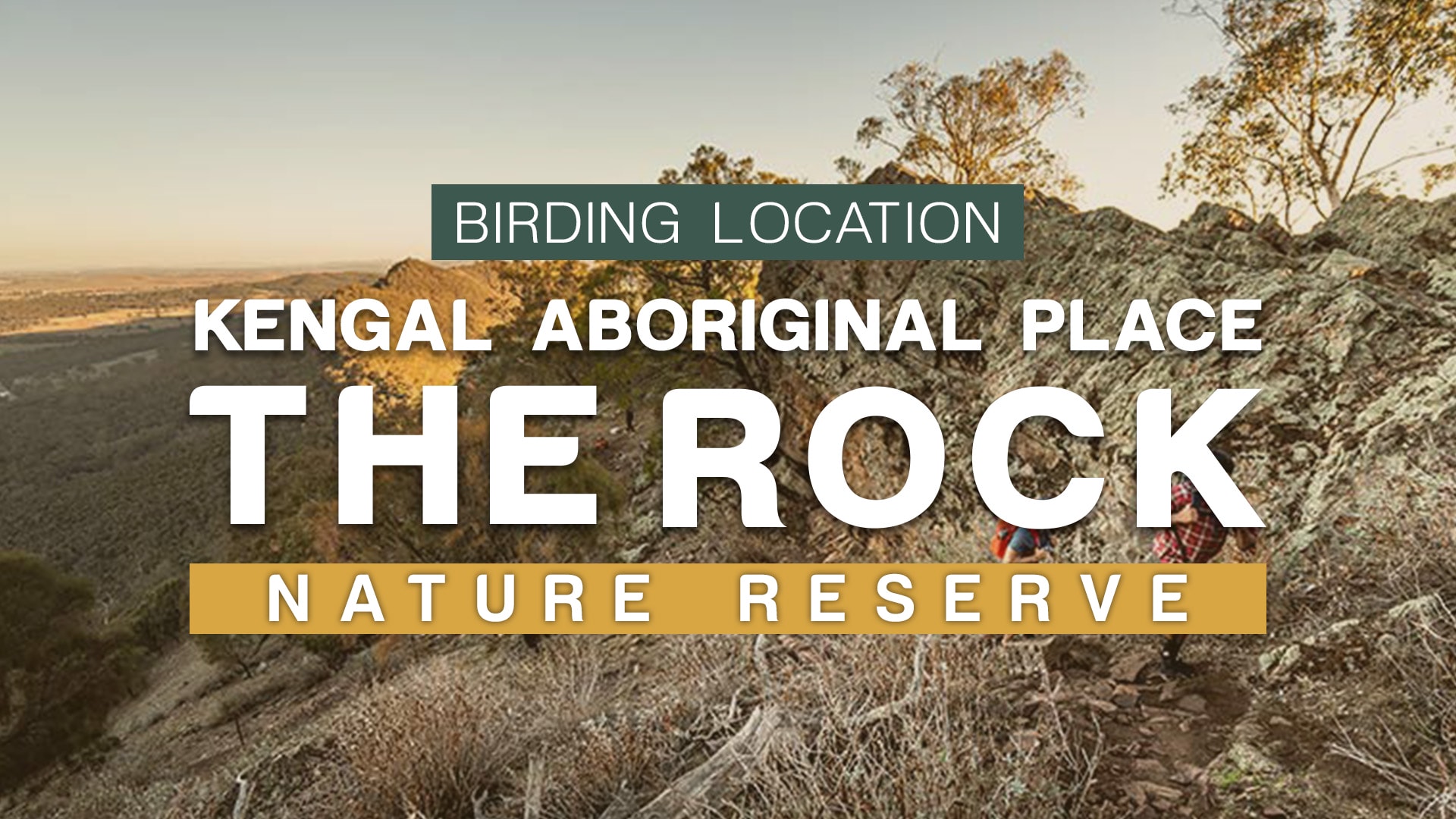 The Kengal Aboriginal Place Rock Nature Reserve Birding Location