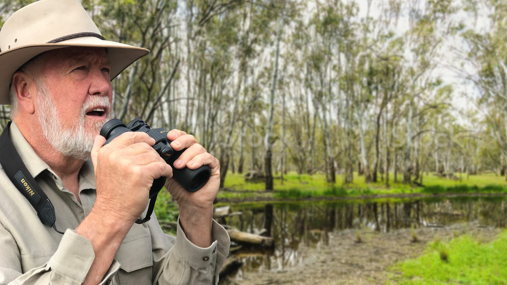 Three Ways Birdwatching Benefits Our Mental Health