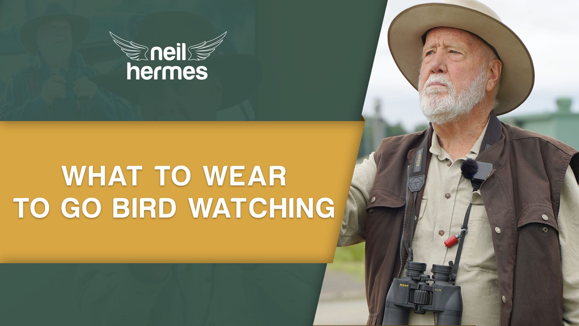 Neil Hermes Tips - What to wear to go bird watching