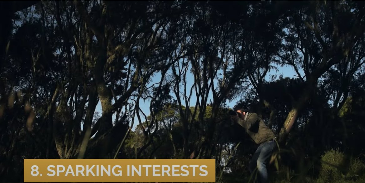 Tips & Guides: Top 10 Reasons To Start Birdwatching | Neil Hermes 8 8