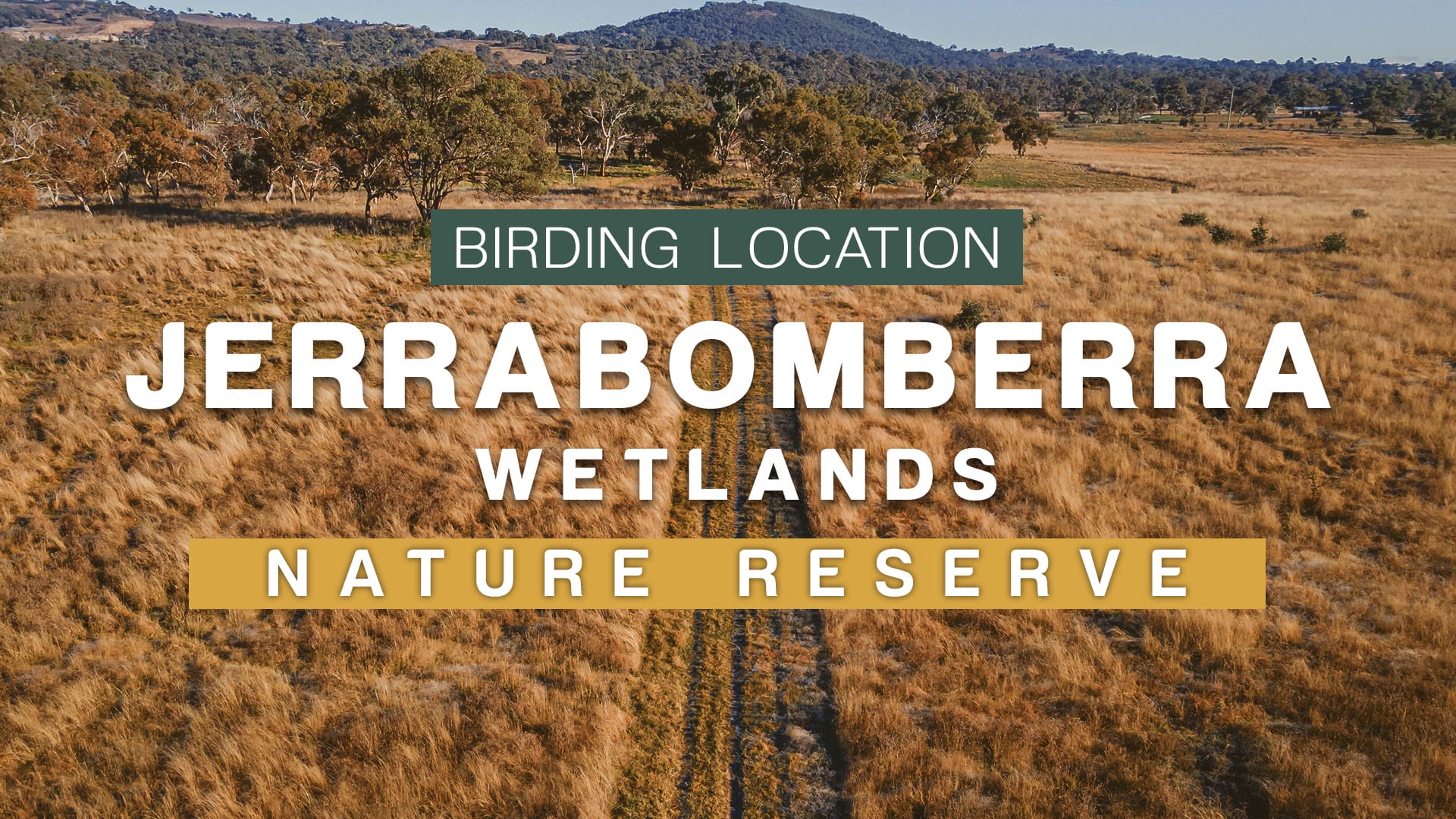 Jerrabomberra Wetlands