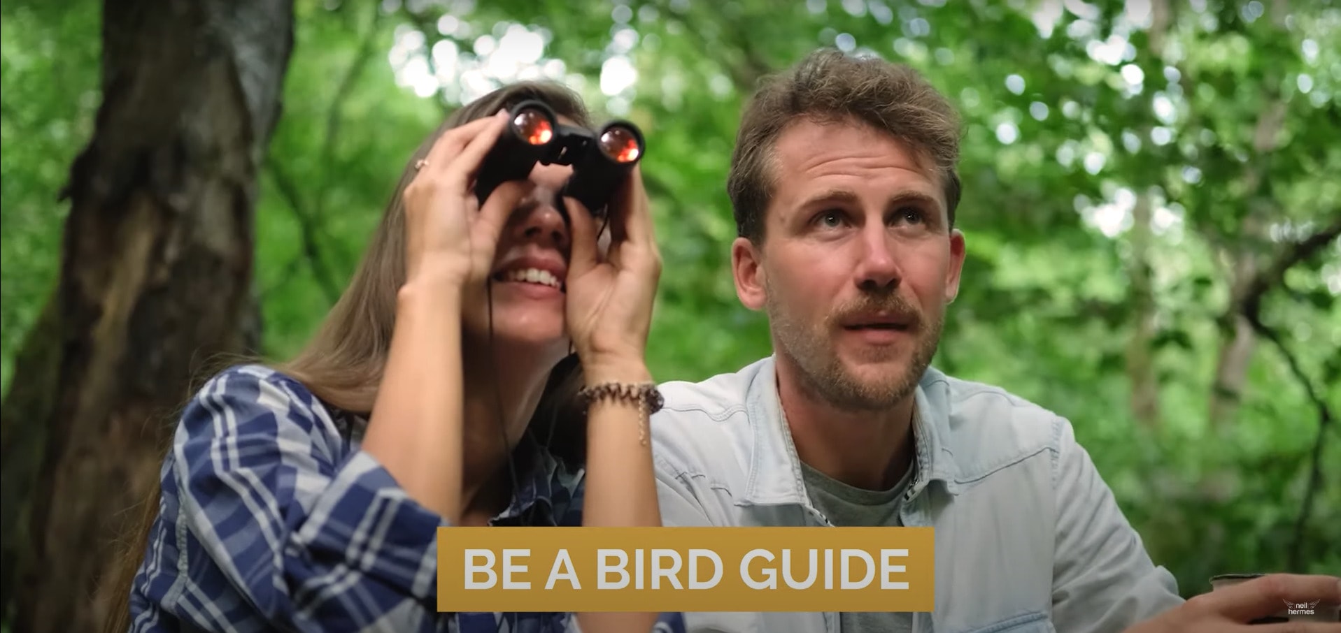 Tips & Guides: How to Make Money By Birwatching | Neil Hermes 2 Be a bird guide