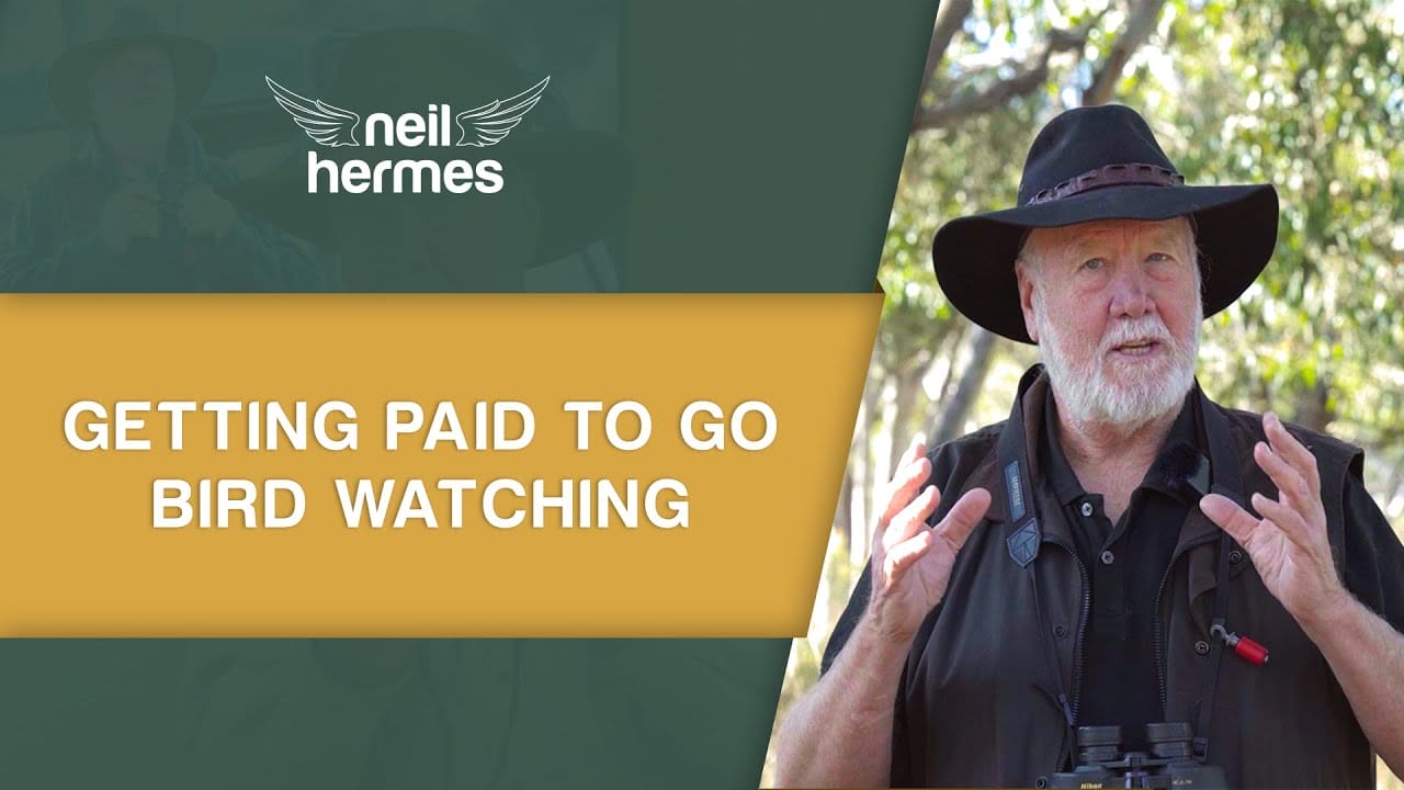 Getting paid to go bird watching Thumbnail