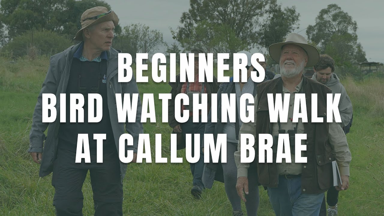 Beginners Bird Watching at Callum Brae