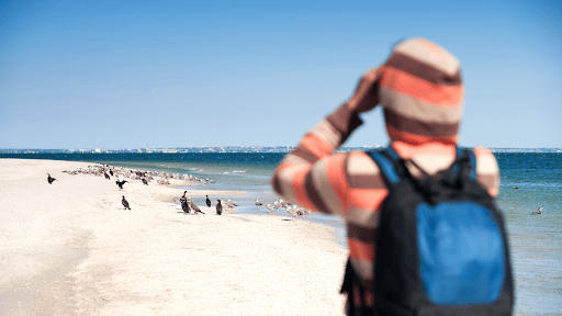 Tips & Guides: Unspoken Rules and Ethics in Birdwatching | Neil Hermes 1 Do Not Cause Harm Or Stress To The Birds