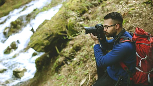 Why Photographers Should Be Cautious Around Birds
