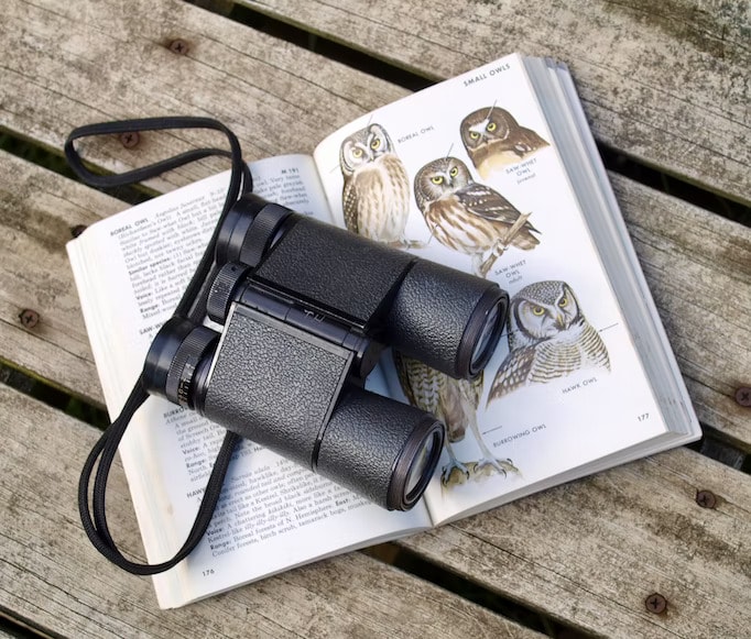The Aussie Backyard Bird Count 2022 By BirdLife Australia - binoculars