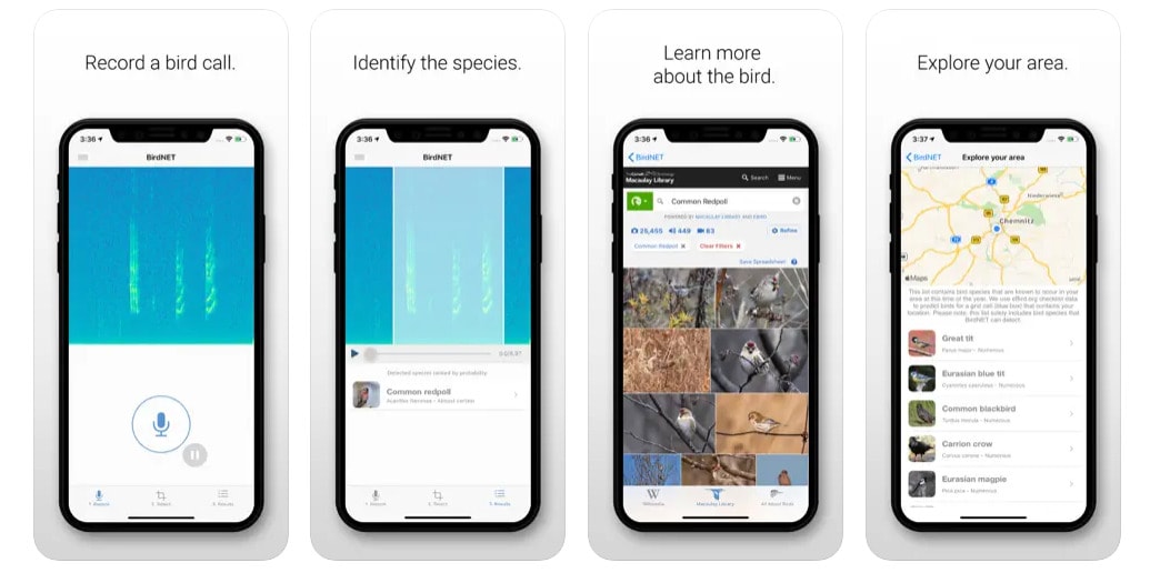 3 Best Ways To to Identify Birds By Their Calls 2 Image from apple App Store